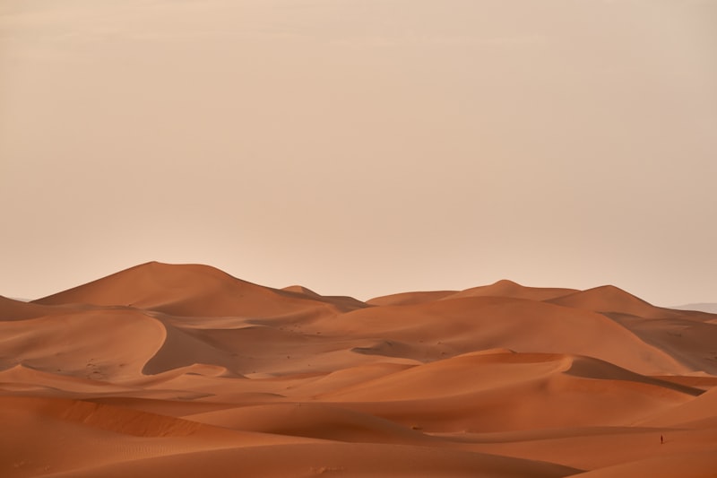 Arizona Desert